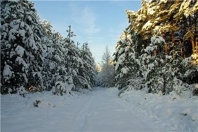 V社：Steam解谜游戏节4月24日上线